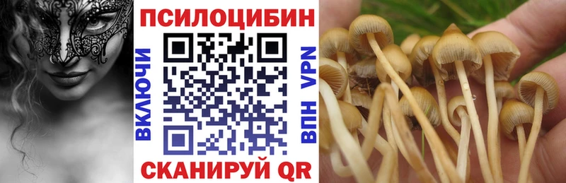 Псилоцибиновые грибы мицелий  Находка 